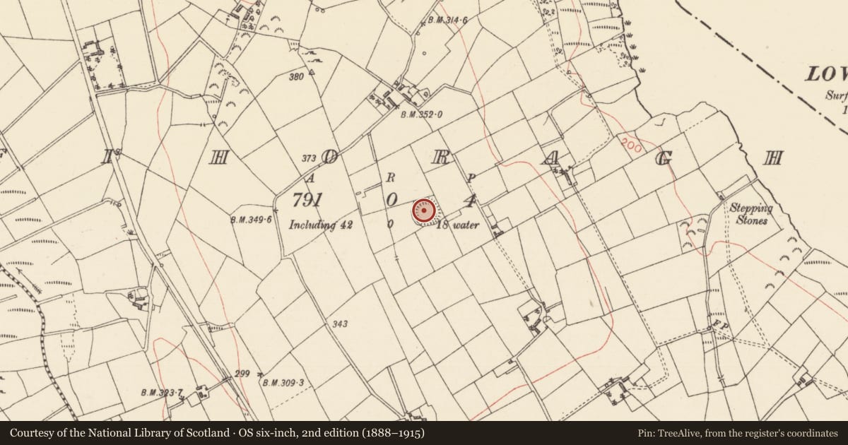 Ordnance Survey six-inch map, 2nd edition (1888–1915) covering the location of Ringfort - rath, Fihoragh, County Longford, with a pin at the register's coordinates