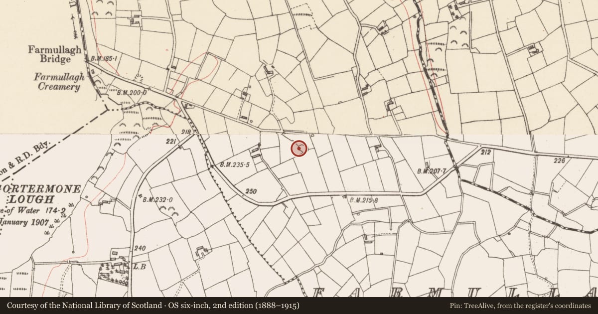 Ordnance Survey six-inch map, 2nd edition (1888–1915) covering the location of Enclosure, Farmullagh, County Longford, with a pin at the register's coordinates