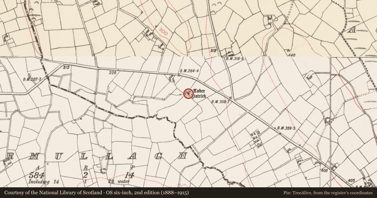 Ordnance Survey six-inch map, 2nd edition (1888–1915) covering the location of Ritual site - holy well, Ballyduffy, County Longford, with a pin at the register's coordinates