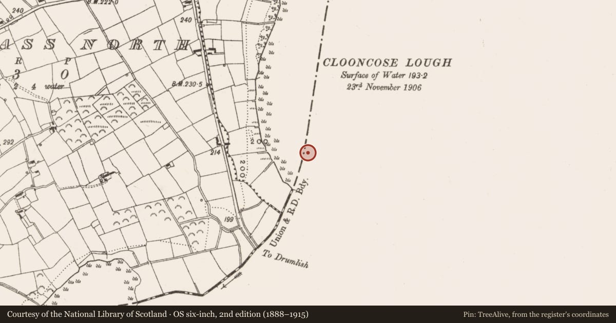 Ordnance Survey six-inch map, 2nd edition (1888–1915) covering the location of Crannog, Kiltycreevagh, County Longford, with a pin at the register's coordinates