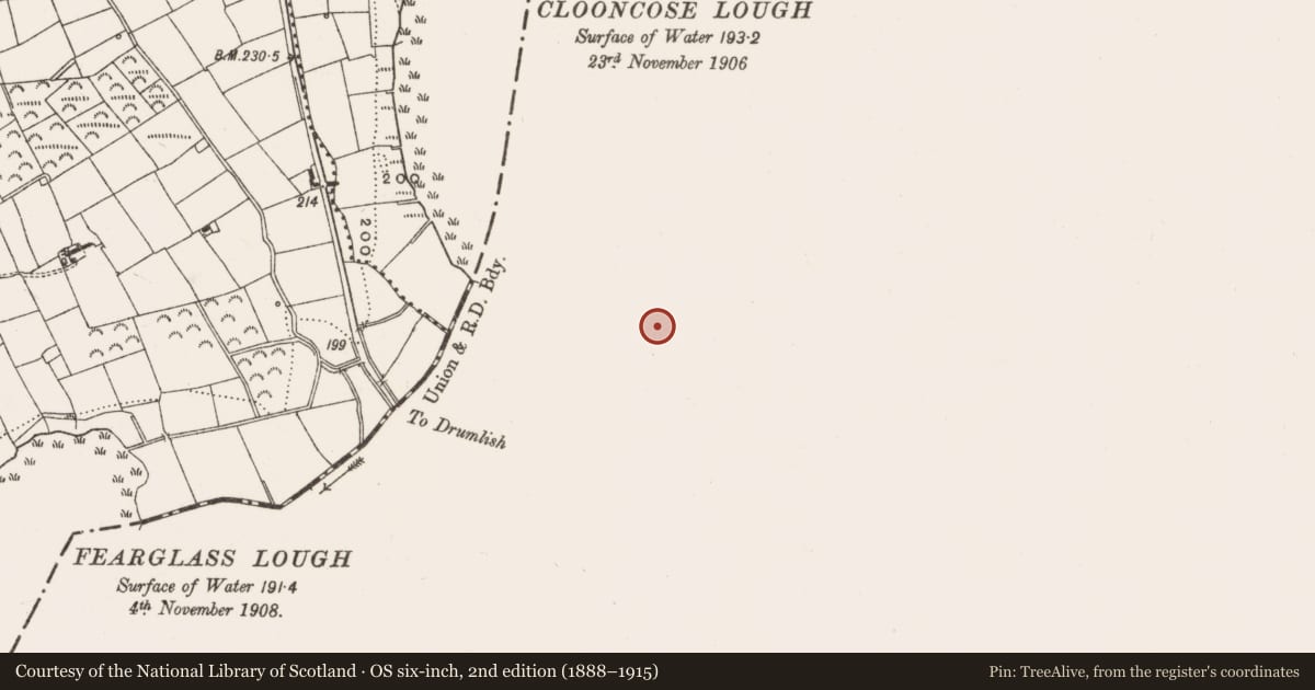 Ordnance Survey six-inch map, 2nd edition (1888–1915) covering the location of Ringfort - rath, Kiltycreevagh, County Longford, with a pin at the register's coordinates