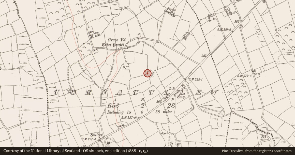 Ordnance Survey six-inch map, 2nd edition (1888–1915) covering the location of Ringfort - rath, Cornacullew, County Longford, with a pin at the register's coordinates