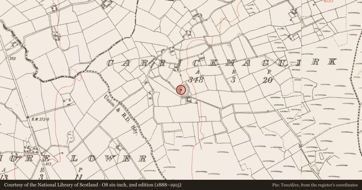Ordnance Survey six-inch map, 2nd edition (1888–1915) covering the location of Ringfort - rath, Carrickmaguirk, County Longford, with a pin at the register's coordinates