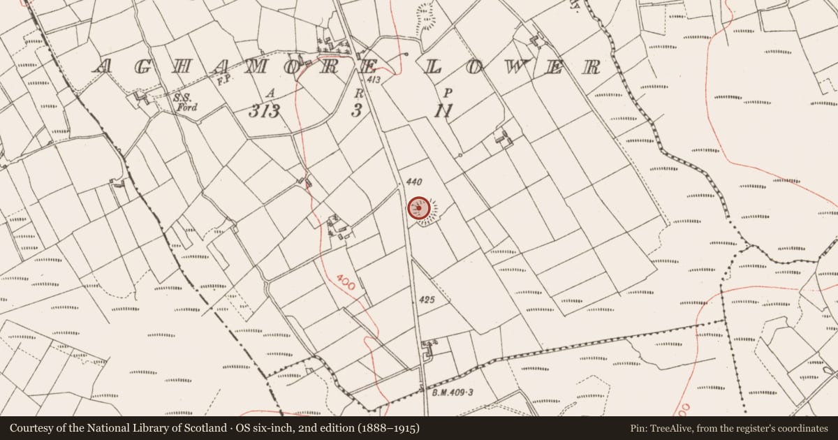 Ordnance Survey six-inch map, 2nd edition (1888–1915) covering the location of Ringfort - rath, Aghamore Lower, County Longford, with a pin at the register's coordinates