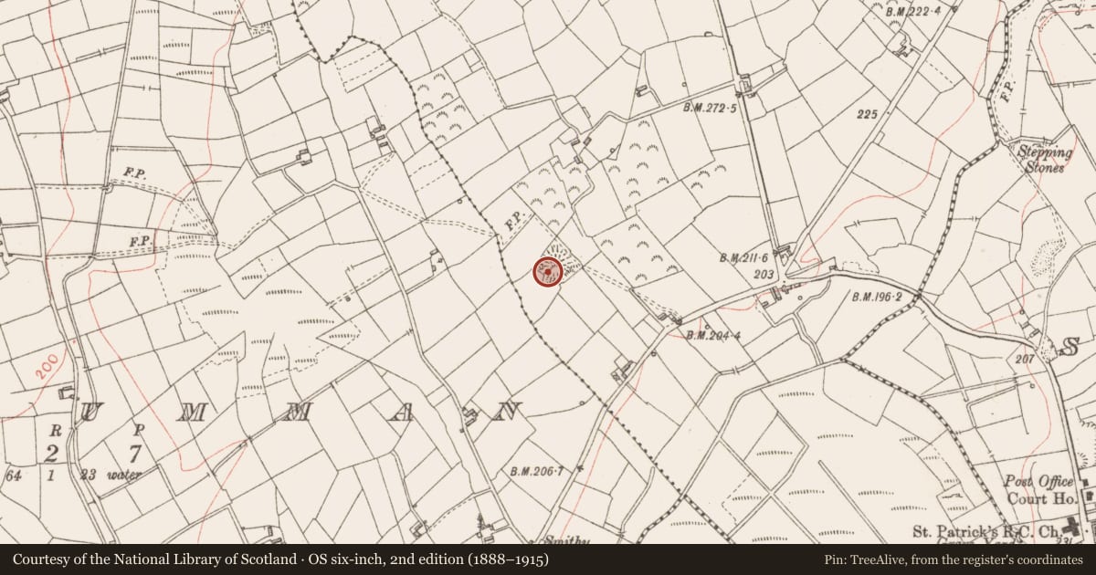 Ordnance Survey six-inch map, 2nd edition (1888–1915) covering the location of Ringfort - rath, Kiltycreevagh, County Longford, with a pin at the register's coordinates