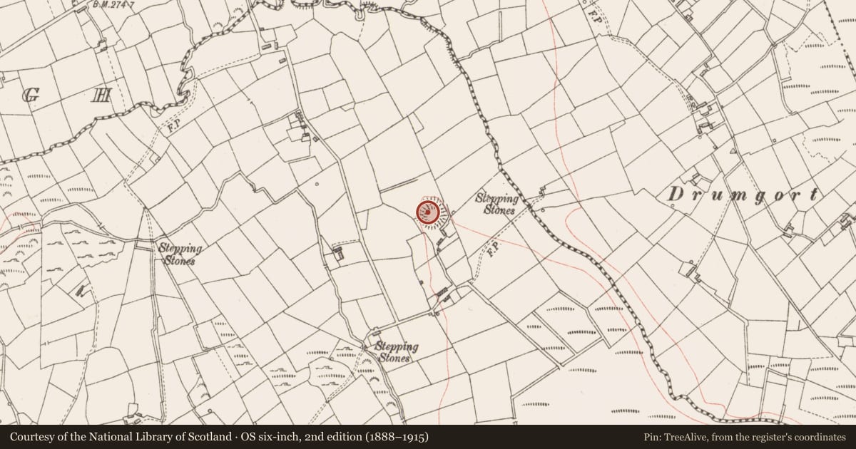 Ordnance Survey six-inch map, 2nd edition (1888–1915) covering the location of Ringfort - rath, Shanmullagh, County Longford, with a pin at the register's coordinates