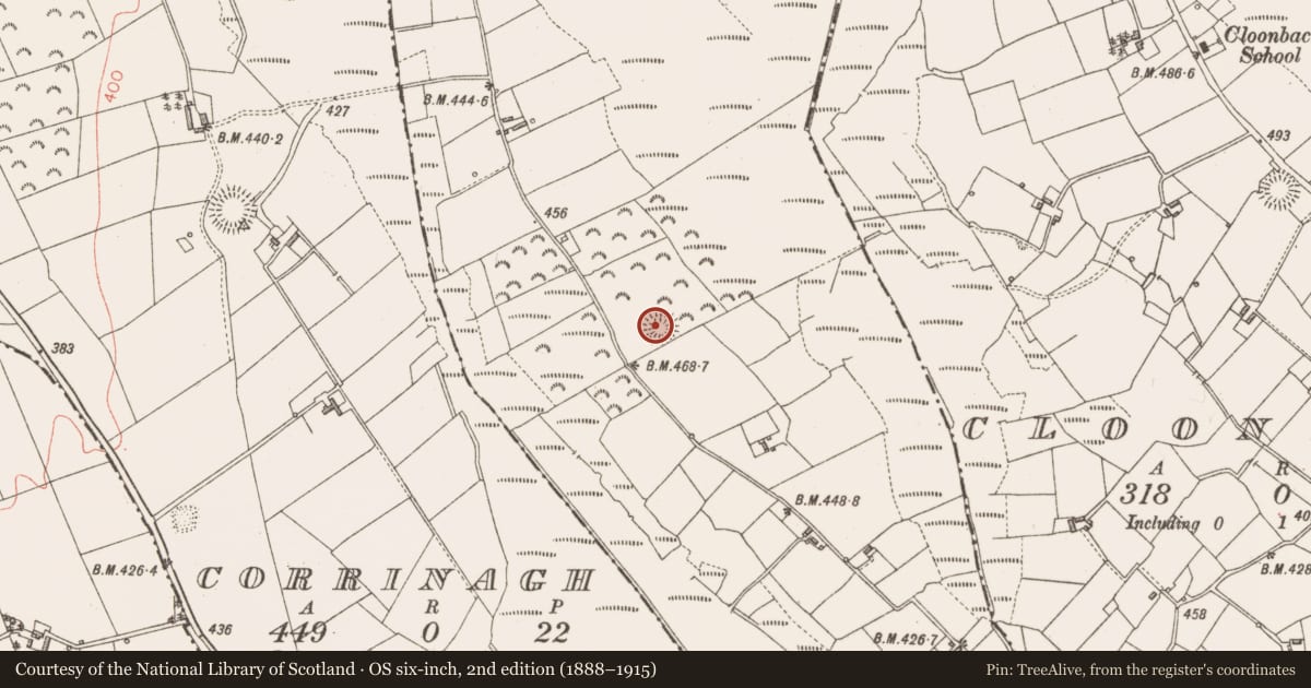 Ordnance Survey six-inch map, 2nd edition (1888–1915) covering the location of Ringfort - rath, Annagh, County Longford, with a pin at the register's coordinates
