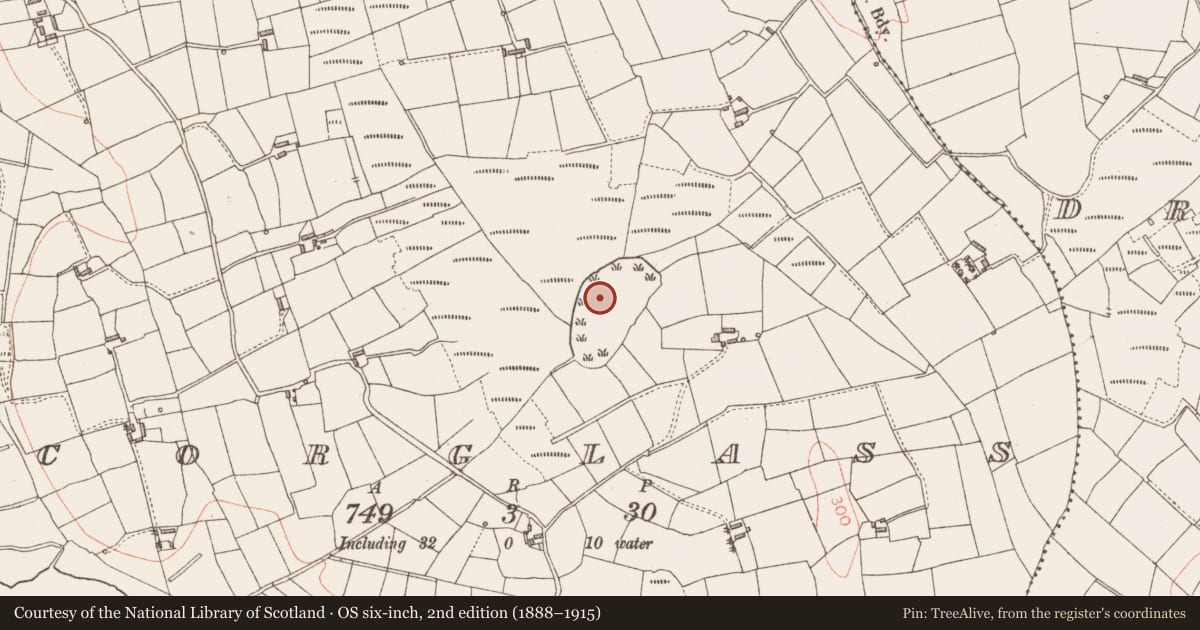 Ordnance Survey six-inch map, 2nd edition (1888–1915) covering the location of Crannog, Corglass, County Longford, with a pin at the register's coordinates