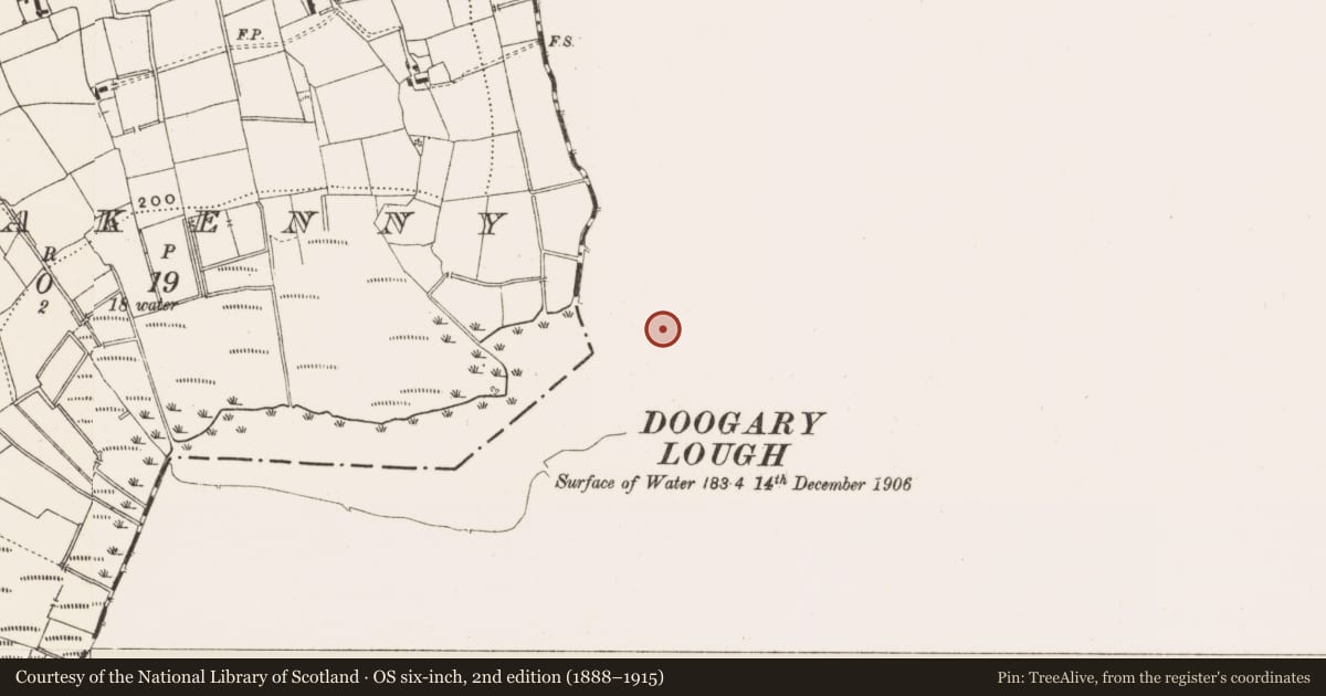 Ordnance Survey six-inch map, 2nd edition (1888–1915) covering the location of Crannog, Corglass, County Longford, with a pin at the register's coordinates