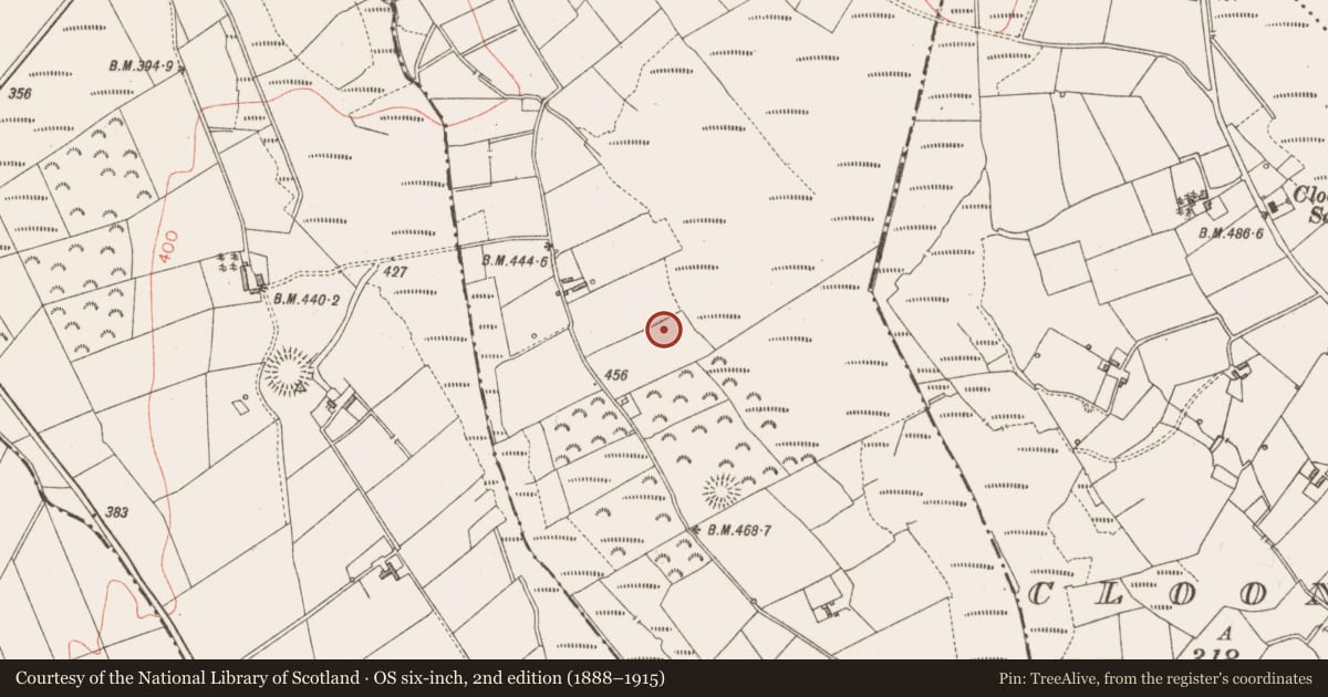 Ordnance Survey six-inch map, 2nd edition (1888–1915) covering the location of Road - unclassified togher, Annagh, County Longford, with a pin at the register's coordinates