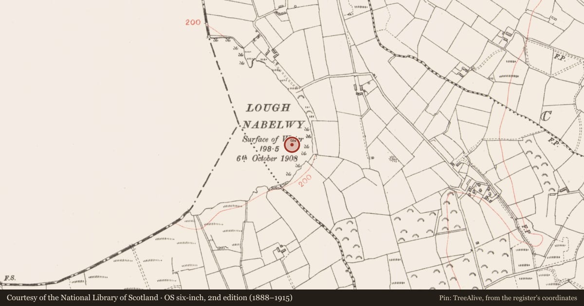 Ordnance Survey six-inch map, 2nd edition (1888–1915) covering the location of Crannog, Cornacullew, County Longford, with a pin at the register's coordinates