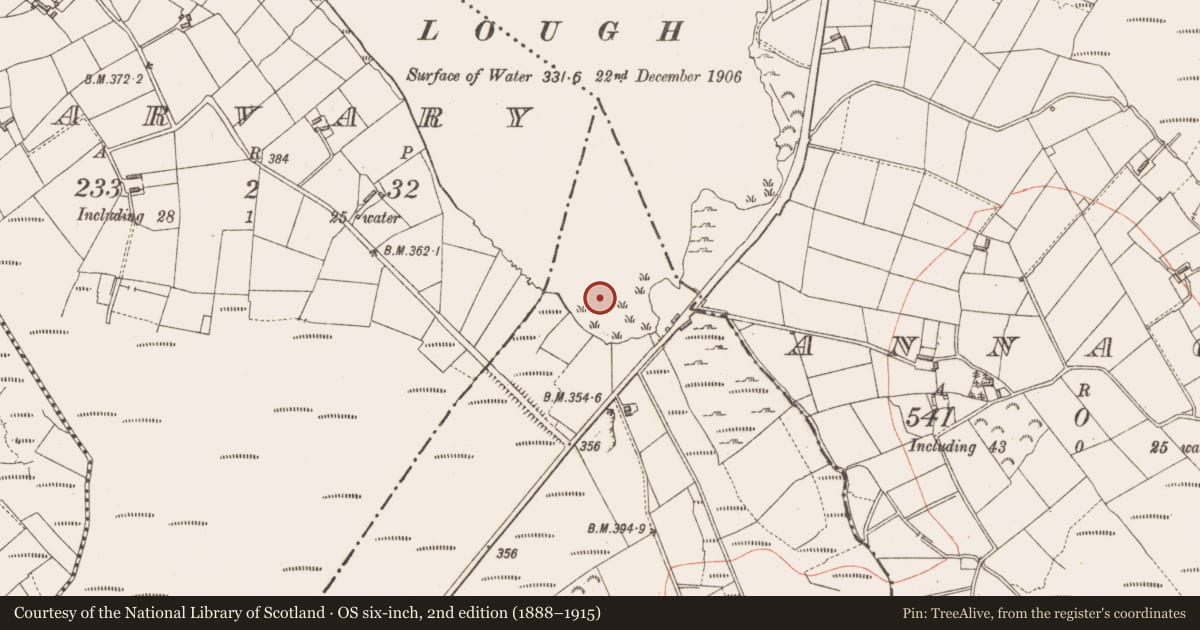 Ordnance Survey six-inch map, 2nd edition (1888–1915) covering the location of Crannog, Corrinagh, County Longford, with a pin at the register's coordinates
