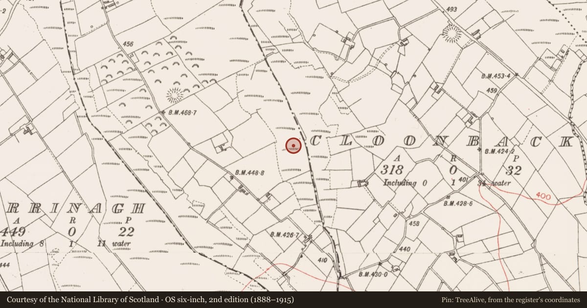 Ordnance Survey six-inch map, 2nd edition (1888–1915) covering the location of Road - class 3 togher, Annagh, County Longford, with a pin at the register's coordinates
