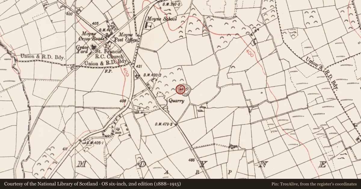 Ordnance Survey six-inch map, 2nd edition (1888–1915) covering the location of House - indeterminate date, Moyne, County Longford, with a pin at the register's coordinates
