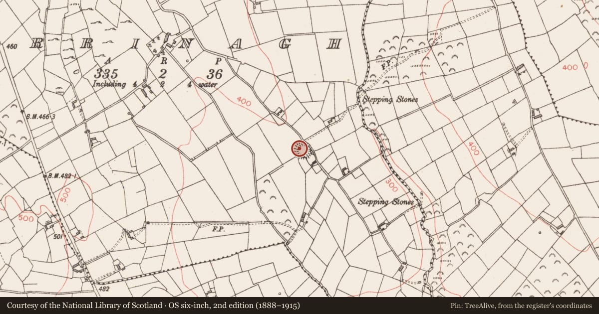 Ordnance Survey six-inch map, 2nd edition (1888–1915) covering the location of Ringfort - rath, Birrinagh, County Longford, with a pin at the register's coordinates
