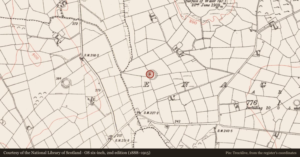 Ordnance Survey six-inch map, 2nd edition (1888–1915) covering the location of Ringfort - rath, Enaghan, County Longford, with a pin at the register's coordinates