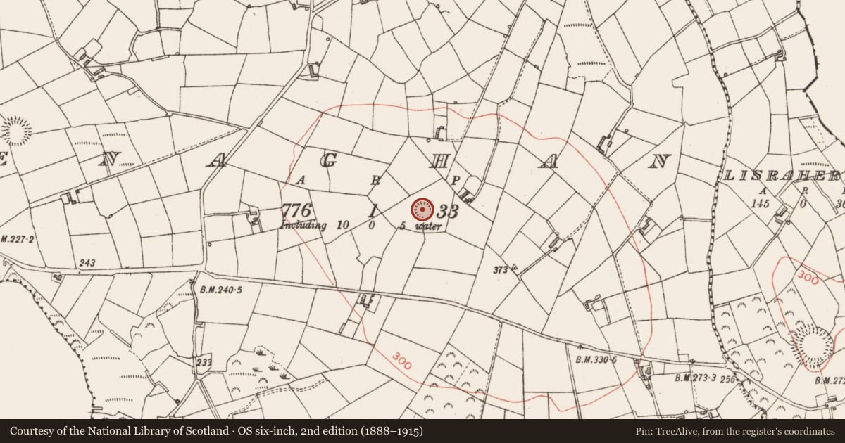 Ordnance Survey six-inch map, 2nd edition (1888–1915) covering the location of Ringfort - rath, Enaghan, County Longford, with a pin at the register's coordinates