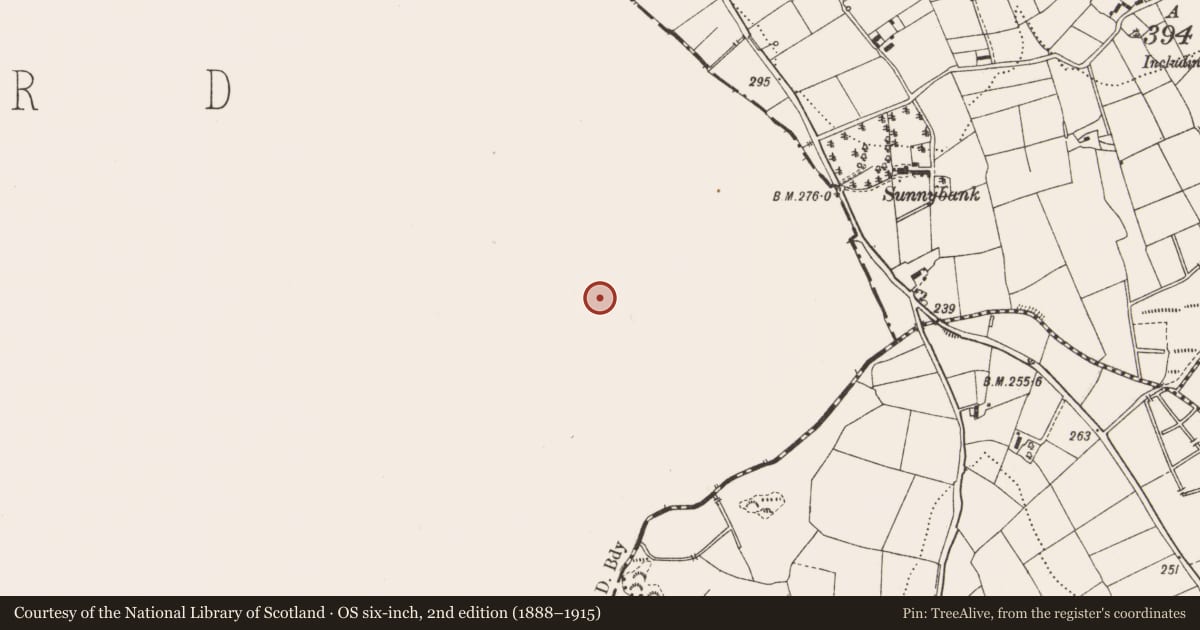 Ordnance Survey six-inch map, 2nd edition (1888–1915) covering the location of Ringfort - rath, Lisraherty, County Longford, with a pin at the register's coordinates