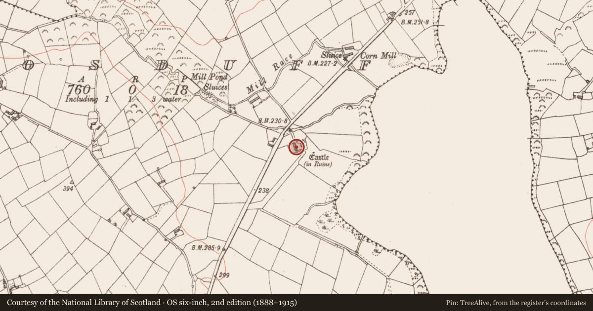 Ordnance Survey six-inch map, 2nd edition (1888–1915) covering the location of Bawn, Rosduff, County Longford, with a pin at the register's coordinates