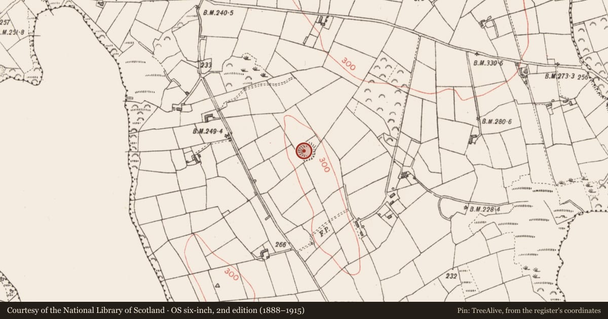 Ordnance Survey six-inch map, 2nd edition (1888–1915) covering the location of Ringfort - rath, Enaghan, County Longford, with a pin at the register's coordinates