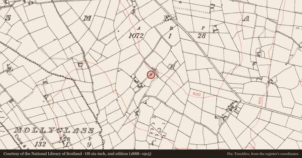 Ordnance Survey six-inch map, 2nd edition (1888–1915) covering the location of Ringfort - rath, Smear, County Longford, with a pin at the register's coordinates