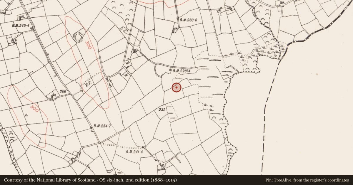 Ordnance Survey six-inch map, 2nd edition (1888–1915) covering the location of Burnt spread, Enaghan, County Longford, with a pin at the register's coordinates