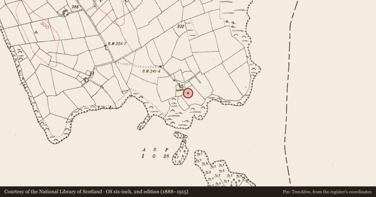 Ordnance Survey six-inch map, 2nd edition (1888–1915) covering the location of Standing stone, Enaghan, County Longford, with a pin at the register's coordinates