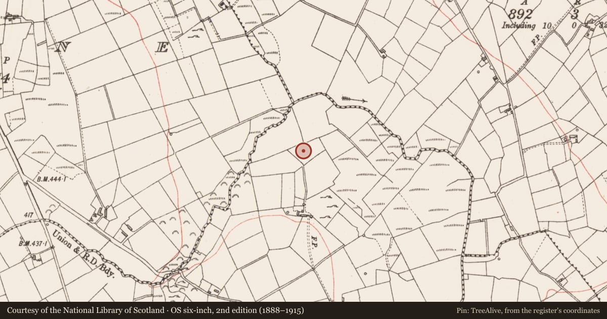 Ordnance Survey six-inch map, 2nd edition (1888–1915) covering the location of Megalithic tomb - portal tomb, Birrinagh, County Longford, with a pin at the register's coordinates