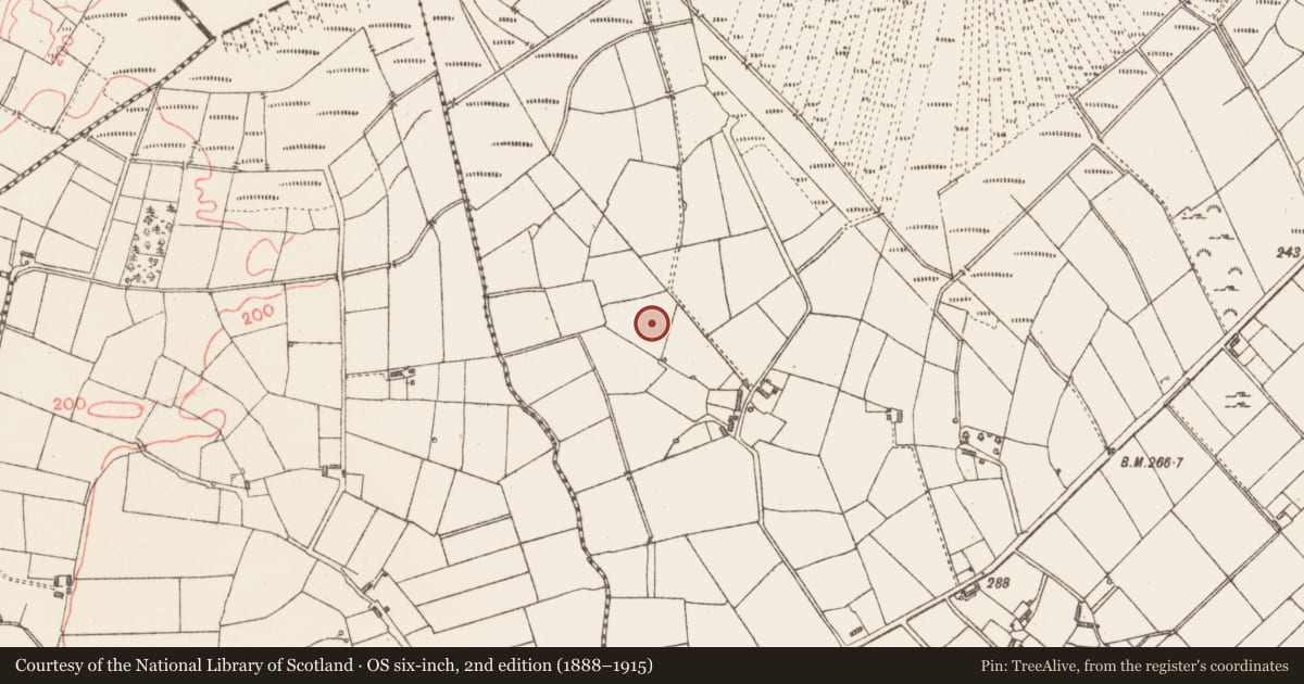 Ordnance Survey six-inch map, 2nd edition (1888–1915) covering the location of Enclosure, Cloonagh, County Longford, with a pin at the register's coordinates