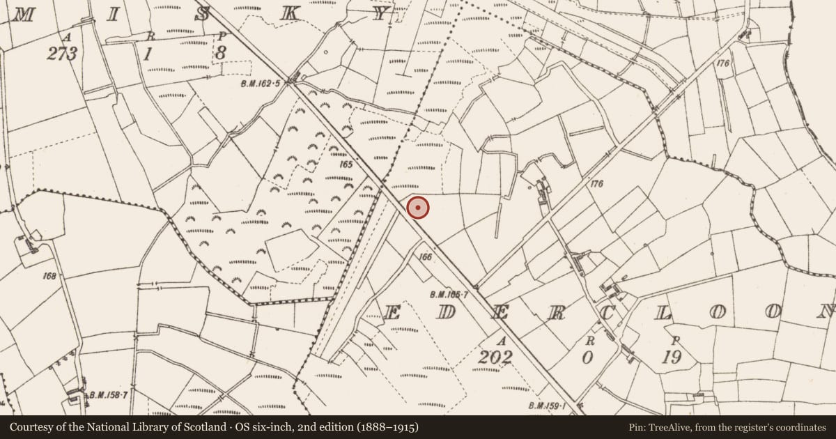 Ordnance Survey six-inch map, 2nd edition (1888–1915) covering the location of Structure - peatland, Edercloon, County Longford, with a pin at the register's coordinates