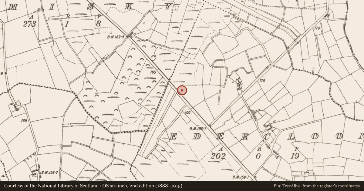 Ordnance Survey six-inch map, 2nd edition (1888–1915) covering the location of Structure - peatland, Edercloon, County Longford, with a pin at the register's coordinates