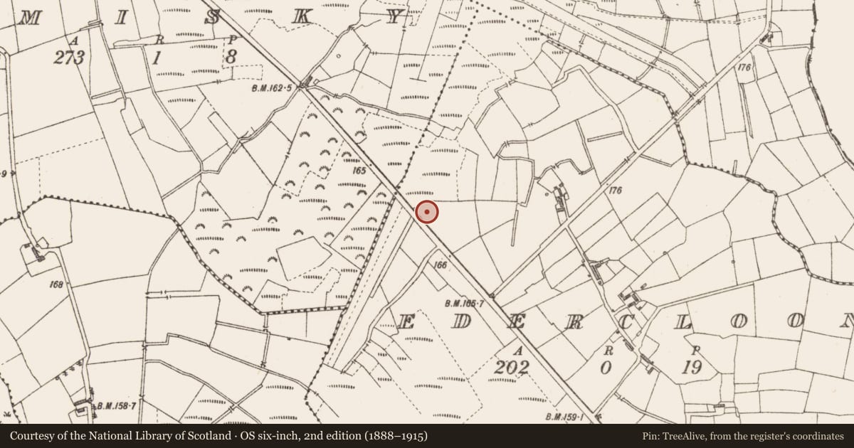 Ordnance Survey six-inch map, 2nd edition (1888–1915) covering the location of Road - class 3 togher, Edercloon, County Longford, with a pin at the register's coordinates