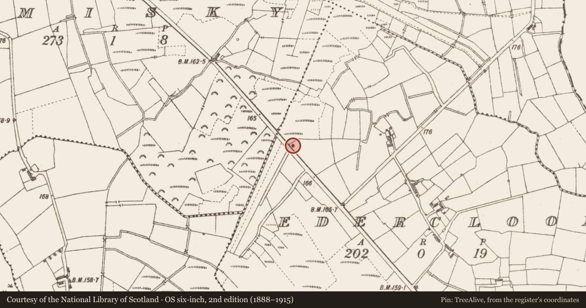 Ordnance Survey six-inch map, 2nd edition (1888–1915) covering the location of Road - class 3 togher, Edercloon, County Longford, with a pin at the register's coordinates