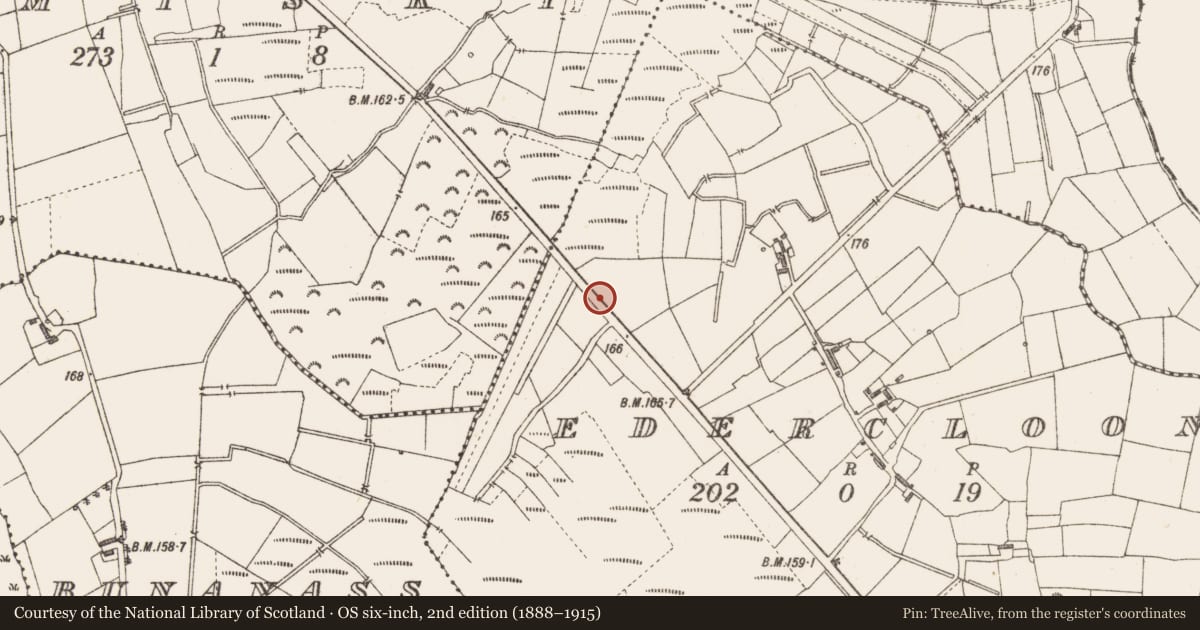 Ordnance Survey six-inch map, 2nd edition (1888–1915) covering the location of Structure - peatland, Edercloon, County Longford, with a pin at the register's coordinates