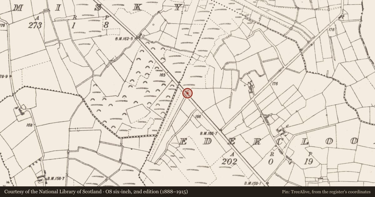 Ordnance Survey six-inch map, 2nd edition (1888–1915) covering the location of Road - class 3 togher, Edercloon, County Longford, with a pin at the register's coordinates