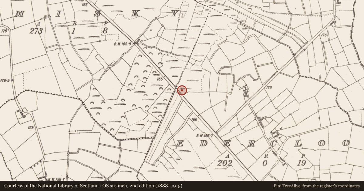 Ordnance Survey six-inch map, 2nd edition (1888–1915) covering the location of Road - class 3 togher, Edercloon, County Longford, with a pin at the register's coordinates