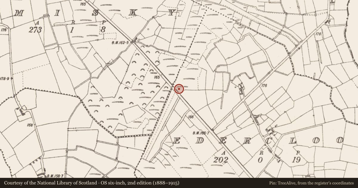 Ordnance Survey six-inch map, 2nd edition (1888–1915) covering the location of Road - class 3 togher, Edercloon, County Longford, with a pin at the register's coordinates