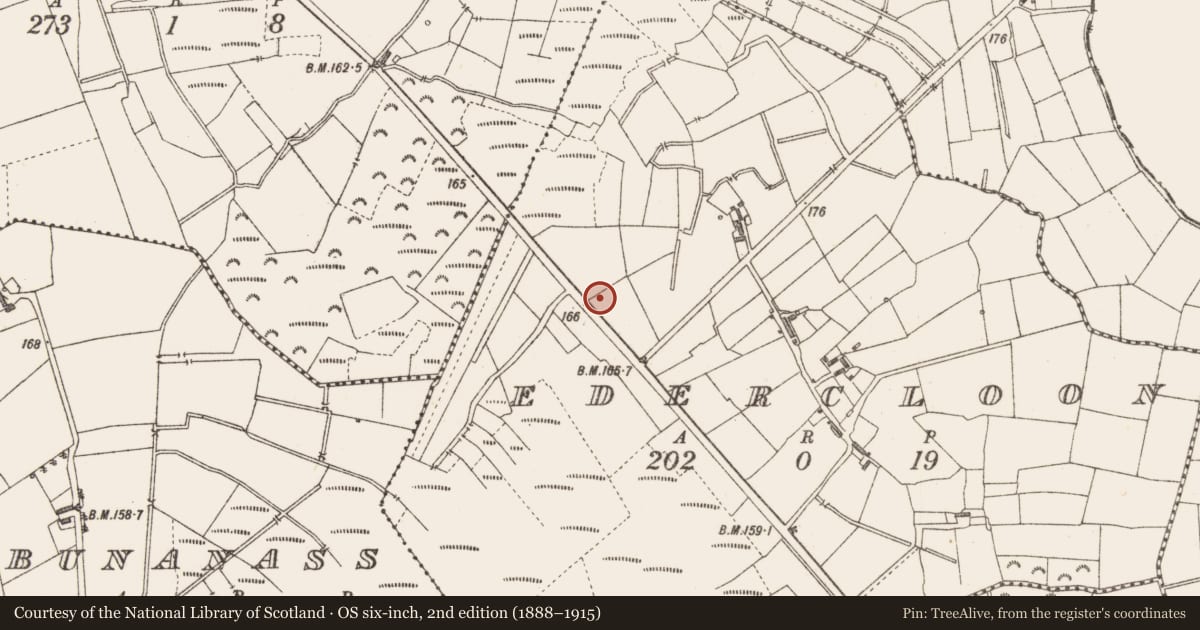 Ordnance Survey six-inch map, 2nd edition (1888–1915) covering the location of Road - class 2 togher, Edercloon, County Longford, with a pin at the register's coordinates