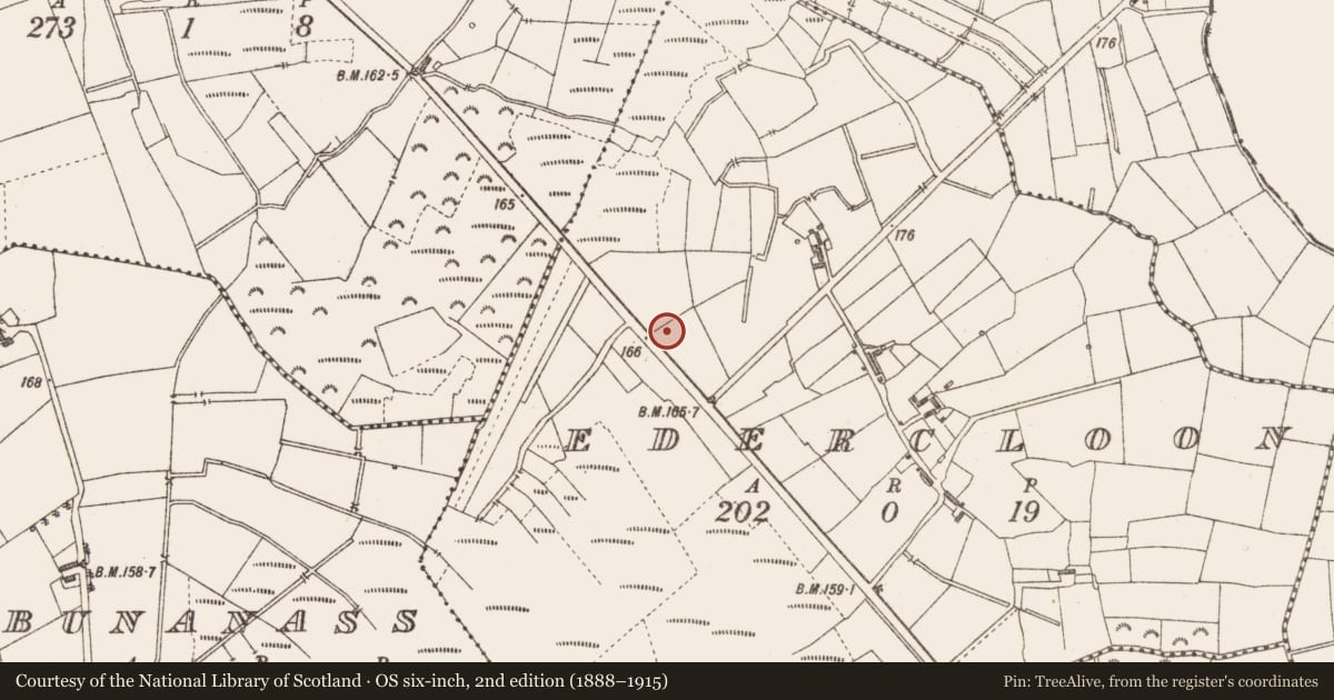 Ordnance Survey six-inch map, 2nd edition (1888–1915) covering the location of Road - class 3 togher, Edercloon, County Longford, with a pin at the register's coordinates