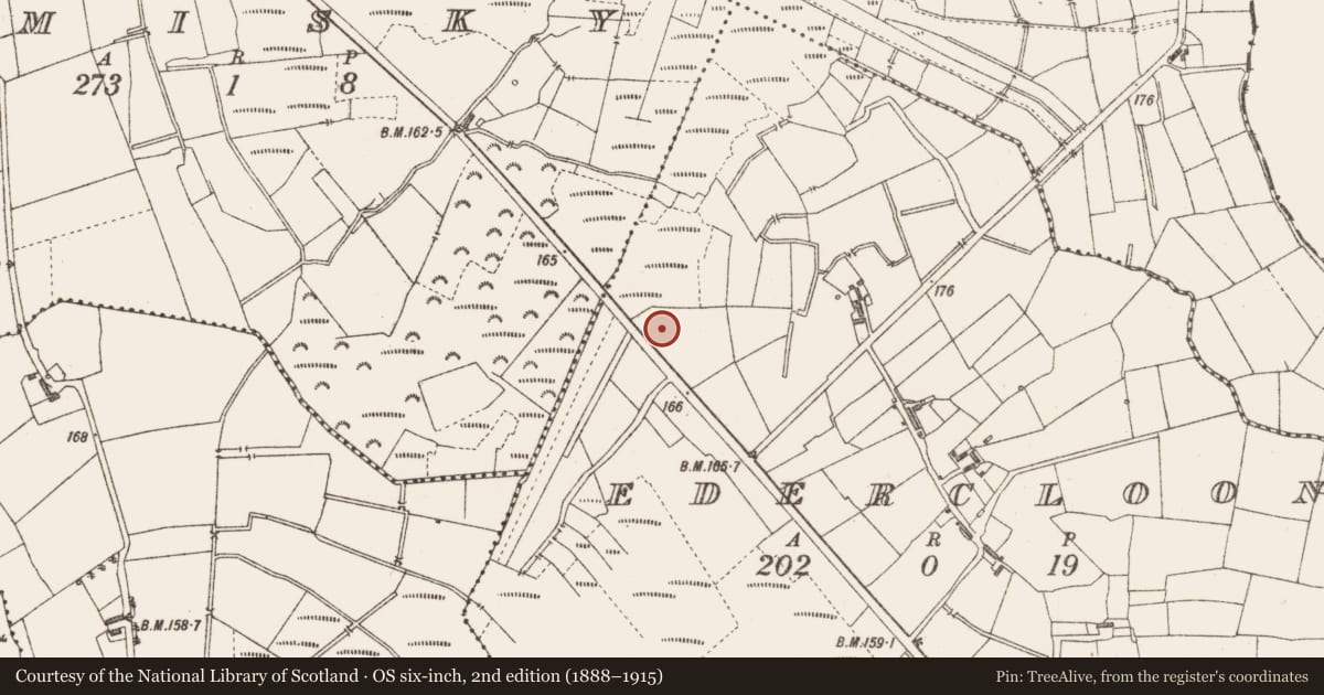 Ordnance Survey six-inch map, 2nd edition (1888–1915) covering the location of Structure - peatland, Edercloon, County Longford, with a pin at the register's coordinates