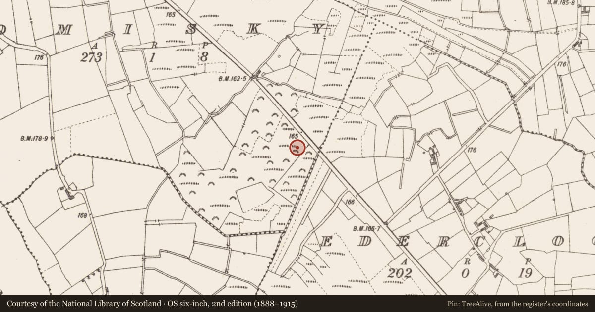 Ordnance Survey six-inch map, 2nd edition (1888–1915) covering the location of Structure - peatland, Tomisky, County Longford, with a pin at the register's coordinates