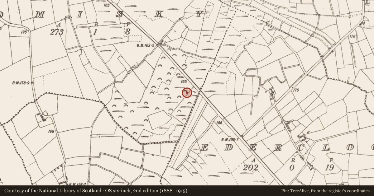 Ordnance Survey six-inch map, 2nd edition (1888–1915) covering the location of Road - class 3 togher, Tomisky, County Longford, with a pin at the register's coordinates