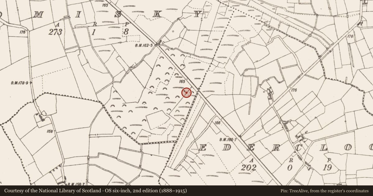 Ordnance Survey six-inch map, 2nd edition (1888–1915) covering the location of Road - class 3 togher, Tomisky, County Longford, with a pin at the register's coordinates