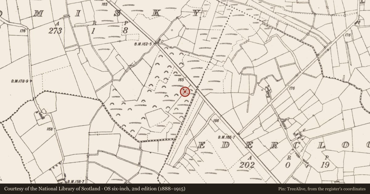 Ordnance Survey six-inch map, 2nd edition (1888–1915) covering the location of Structure - peatland, Tomisky, County Longford, with a pin at the register's coordinates