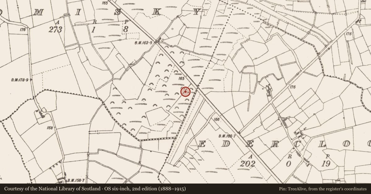 Ordnance Survey six-inch map, 2nd edition (1888–1915) covering the location of Structure - peatland, Tomisky, County Longford, with a pin at the register's coordinates
