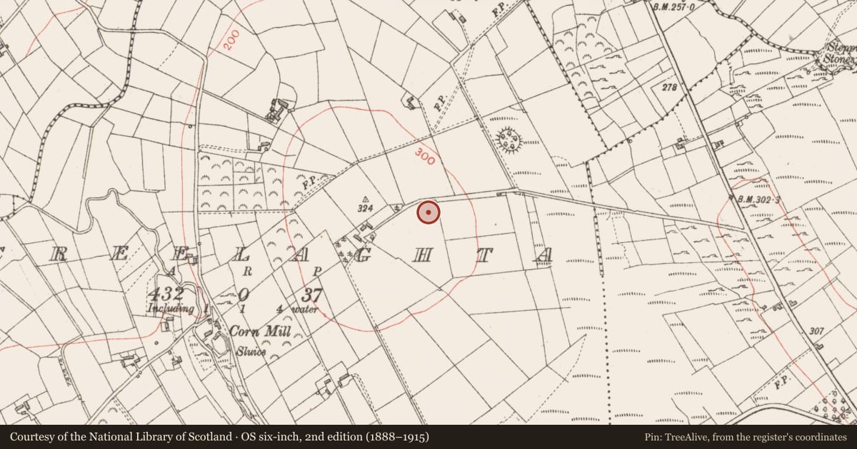 Ordnance Survey six-inch map, 2nd edition (1888–1915) covering the location of Barrow - ring-barrow, Creelaghta, County Longford, with a pin at the register's coordinates