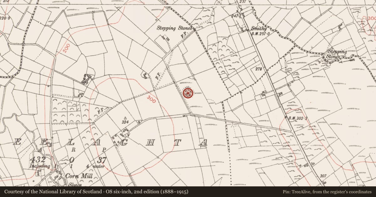 Ordnance Survey six-inch map, 2nd edition (1888–1915) covering the location of Ringfort - rath, Creelaghta, County Longford, with a pin at the register's coordinates