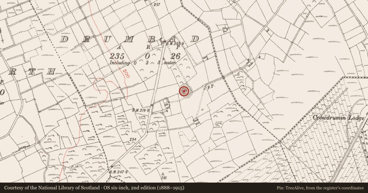 Ordnance Survey six-inch map, 2nd edition (1888–1915) covering the location of Ringfort - rath, Drumbad, County Longford, with a pin at the register's coordinates