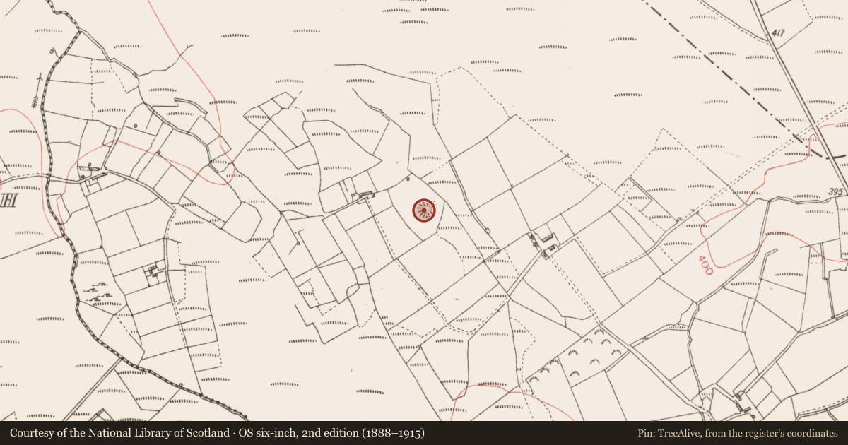 Ordnance Survey six-inch map, 2nd edition (1888–1915) covering the location of Ringfort - rath, Edenmore, County Longford, with a pin at the register's coordinates