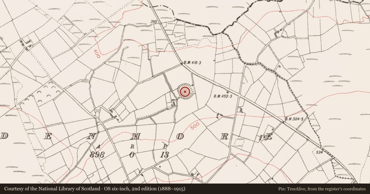 Ordnance Survey six-inch map, 2nd edition (1888–1915) covering the location of Ringfort - rath, Edenmore, County Longford, with a pin at the register's coordinates